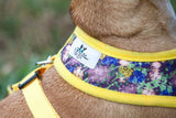 Eggplant Autumn Pet , Dog Harness - Hip Puppy logo - 5