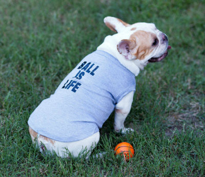 Hip dog clothes clearance